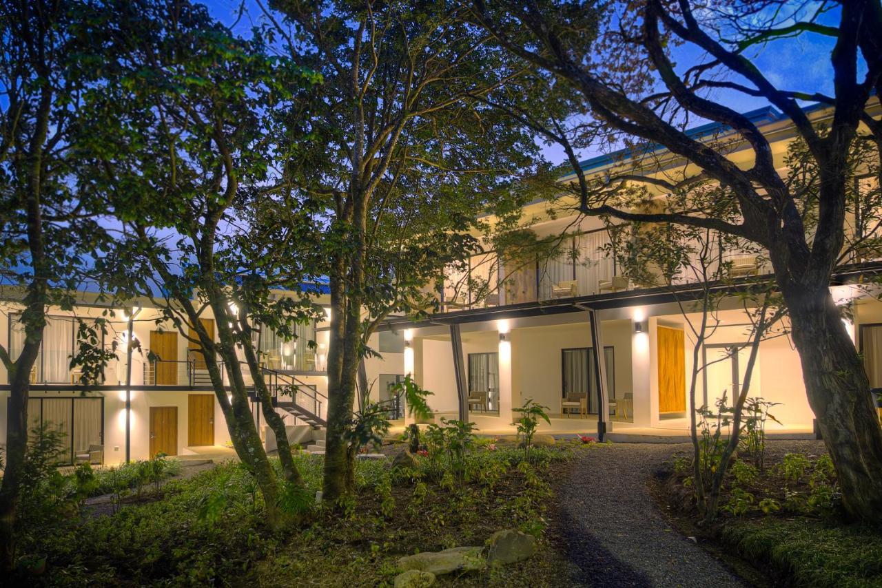 Ocotea Boutique Hotel Monteverde Zewnętrze zdjęcie
