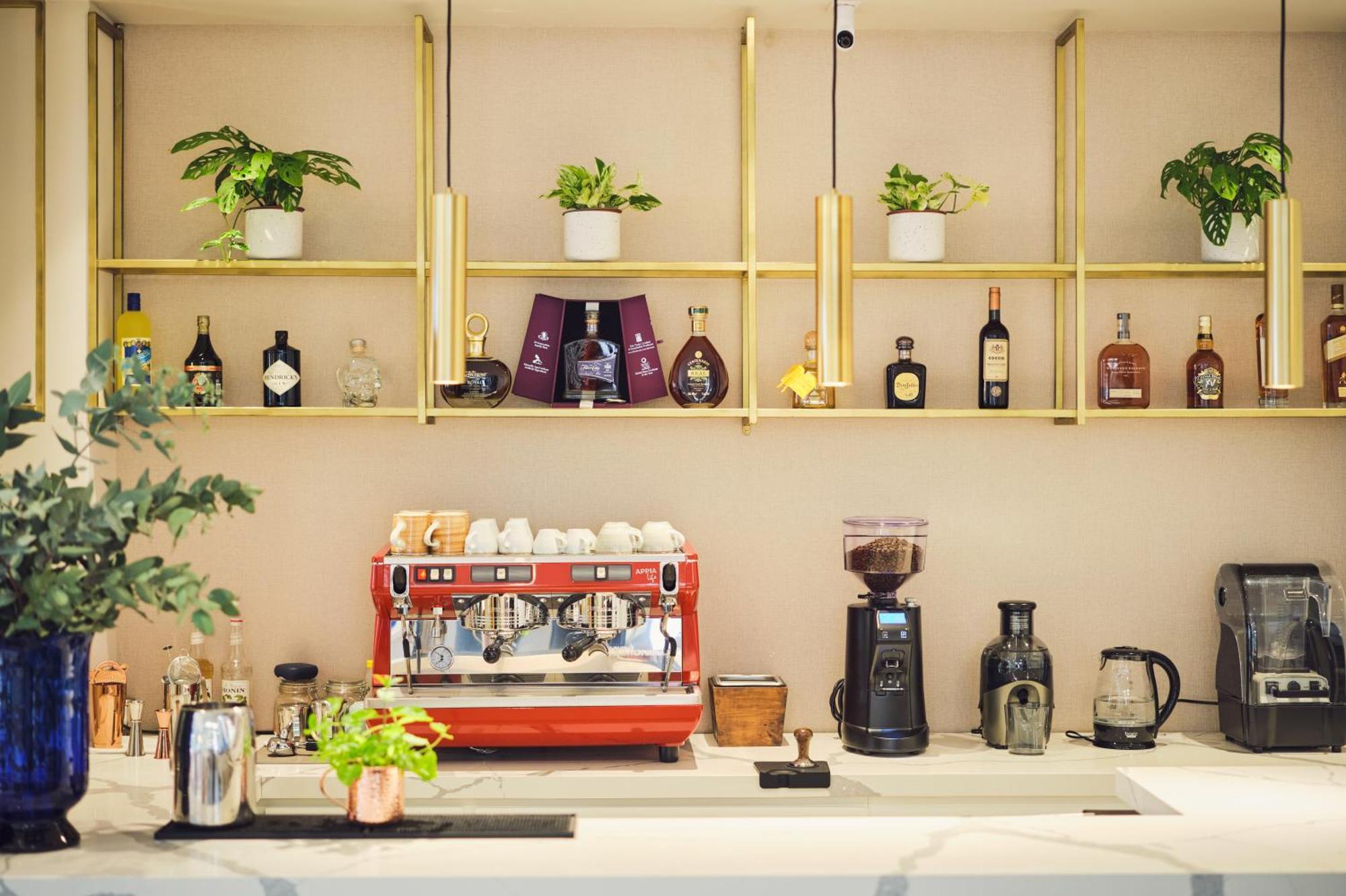 Ocotea Boutique Hotel Monteverde Zewnętrze zdjęcie