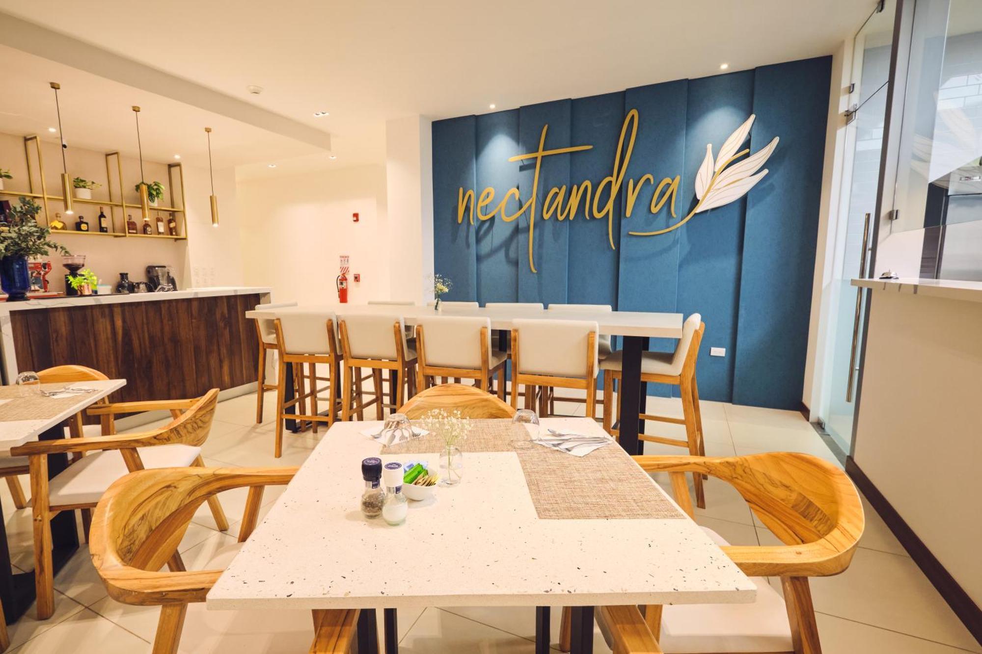 Ocotea Boutique Hotel Monteverde Zewnętrze zdjęcie